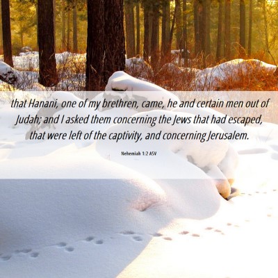 Picture 06 - Nehemiah 1:2 ASV - that Hanani, one of my brethren, came, he and - Bible Verse Picture