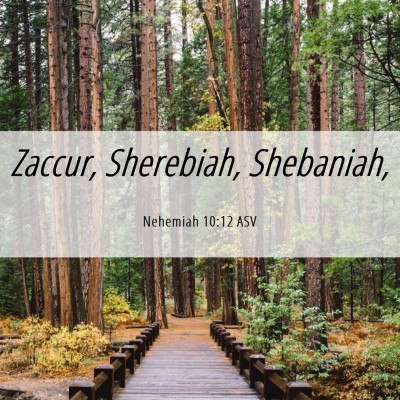 Picture 06 - Nehemiah 10:12 ASV - Zaccur, Sherebiah, - Bible Verse Picture