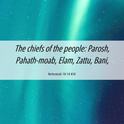 Picture 06 - Nehemiah 10:14 ASV - The chiefs of the people: Parosh, Pahath-moab, - Bible Verse Picture