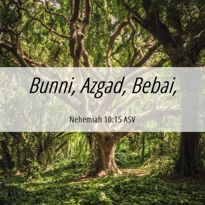 Picture 06 - Nehemiah 10:15 ASV - Bunni, Azgad, - Bible Verse Picture
