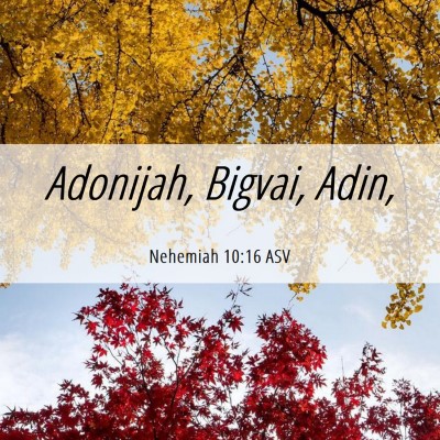 Picture 06 - Nehemiah 10:16 ASV - Adonijah, Bigvai, - Bible Verse Picture