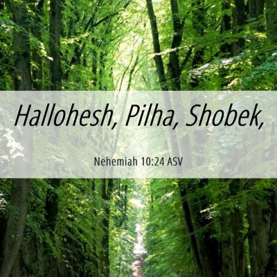 Picture 06 - Nehemiah 10:24 ASV - Hallohesh, Pilha, - Bible Verse Picture