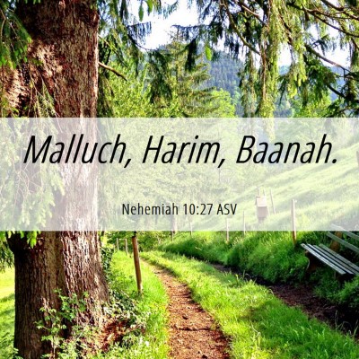 Picture 06 - Nehemiah 10:27 ASV - Malluch, Harim, - Bible Verse Picture
