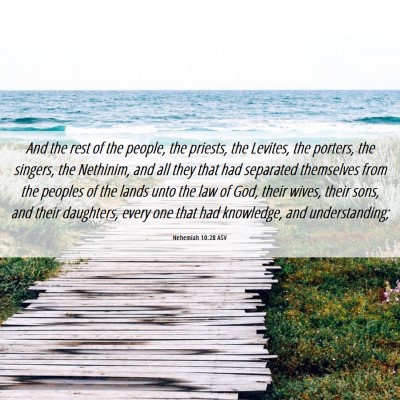 Picture 06 - Nehemiah 10:28 ASV - And the rest of the people, the priests, the - Bible Verse Picture