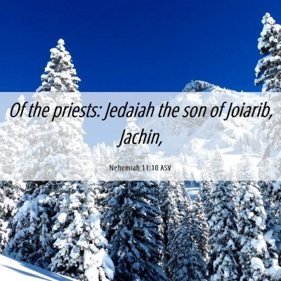 Picture 06 - Nehemiah 11:10 ASV - Of the priests: Jedaiah the son of Joiarib, - Bible Verse Picture