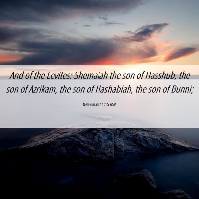 Picture 06 - Nehemiah 11:15 ASV - And of the Levites: Shemaiah the son of Hasshub, - Bible Verse Picture