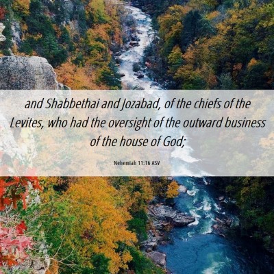 Picture 06 - Nehemiah 11:16 ASV - and Shabbethai and Jozabad, of the chiefs of the - Bible Verse Picture
