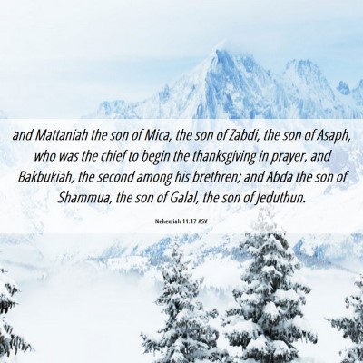 Picture 06 - Nehemiah 11:17 ASV - and Mattaniah the son of Mica, the son of Zabdi, - Bible Verse Picture