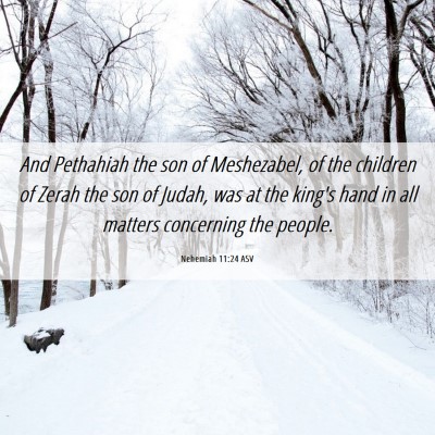 Picture 06 - Nehemiah 11:24 ASV - And Pethahiah the son of Meshezabel, of the - Bible Verse Picture