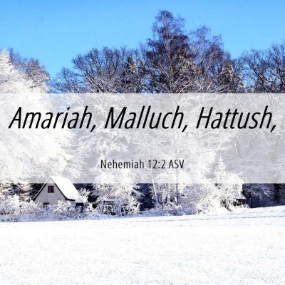 Picture 06 - Nehemiah 12:2 ASV - Amariah, Malluch, - Bible Verse Picture