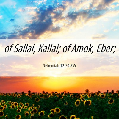Picture 06 - Nehemiah 12:20 ASV - of Sallai, Kallai; of Amok, - Bible Verse Picture