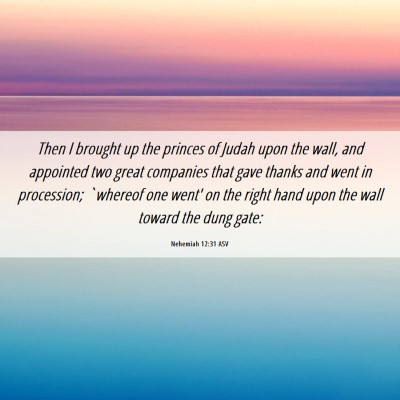 Picture 06 - Nehemiah 12:31 ASV - Then I brought up the princes of Judah upon the - Bible Verse Picture
