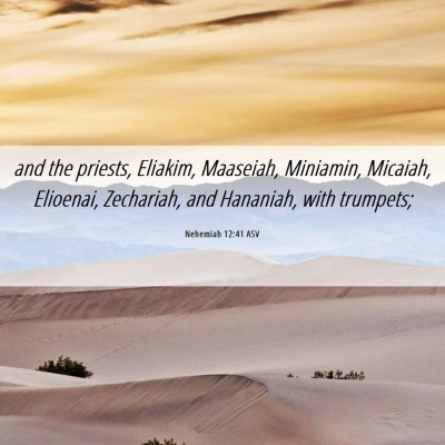 Picture 06 - Nehemiah 12:41 ASV - and the priests, Eliakim, Maaseiah, Miniamin, - Bible Verse Picture