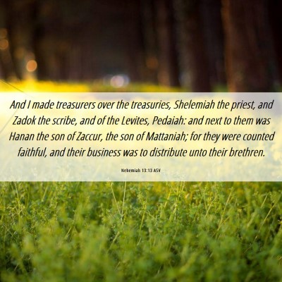 Picture 06 - Nehemiah 13:13 ASV - And I made treasurers over the treasuries, - Bible Verse Picture