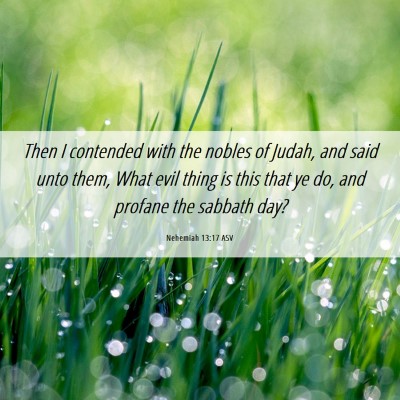 Picture 06 - Nehemiah 13:17 ASV - Then I contended with the nobles of Judah, and - Bible Verse Picture