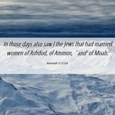 Picture 06 - Nehemiah 13:23 ASV - In those days also saw I the Jews that had - Bible Verse Picture