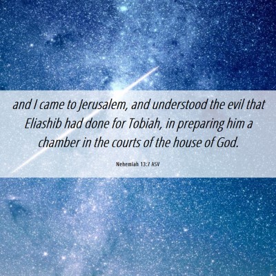 Picture 06 - Nehemiah 13:7 ASV - and I came to Jerusalem, and understood the evil - Bible Verse Picture