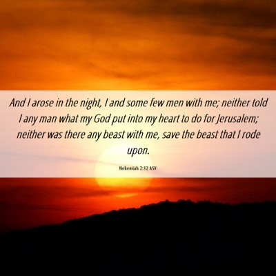 Picture 06 - Nehemiah 2:12 ASV - And I arose in the night, I and some few men with - Bible Verse Picture