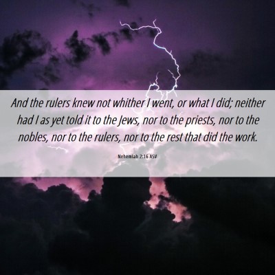 Picture 06 - Nehemiah 2:16 ASV - And the rulers knew not whither I went, or what I - Bible Verse Picture