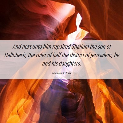 Picture 06 - Nehemiah 3:12 ASV - And next unto him repaired Shallum the son of - Bible Verse Picture