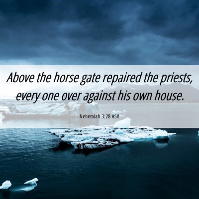 Picture 06 - Nehemiah 3:28 ASV - Above the horse gate repaired the priests, every - Bible Verse Picture