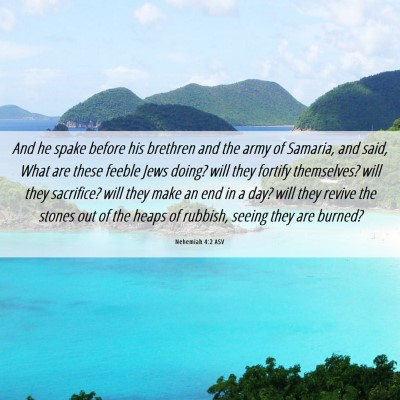 Picture 06 - Nehemiah 4:2 ASV - And he spake before his brethren and the army of - Bible Verse Picture