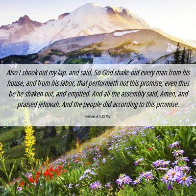 Picture 06 - Nehemiah 5:13 ASV - Also I shook out my lap, and said, So God shake - Bible Verse Picture