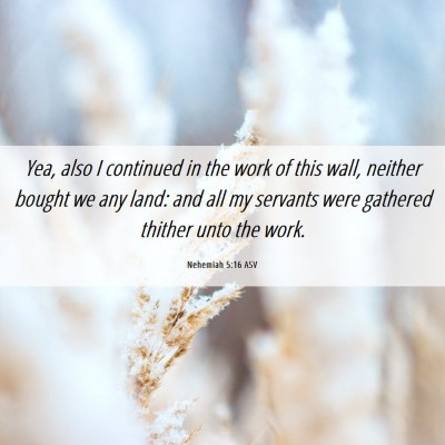 Picture 06 - Nehemiah 5:16 ASV - Yea, also I continued in the work of this wall, - Bible Verse Picture