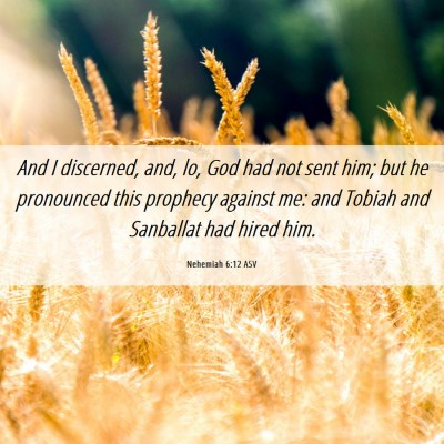 Picture 06 - Nehemiah 6:12 ASV - And I discerned, and, lo, God had not sent him; - Bible Verse Picture