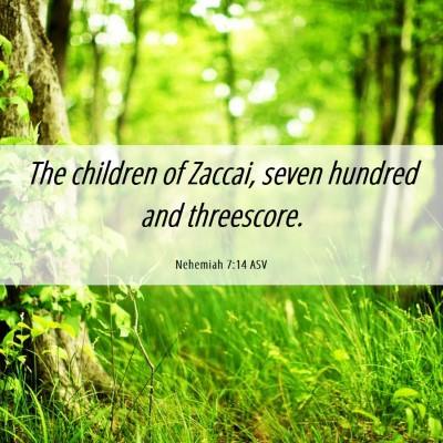 Picture 06 - Nehemiah 7:14 ASV - The children of Zaccai, seven hundred and - Bible Verse Picture