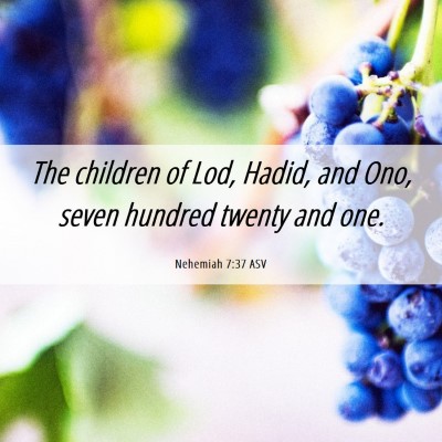 Picture 06 - Nehemiah 7:37 ASV - The children of Lod, Hadid, and Ono, seven - Bible Verse Picture