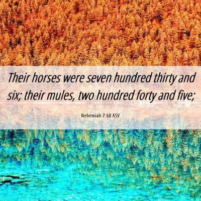 Picture 06 - Nehemiah 7:68 ASV - Their horses were seven hundred thirty and six; - Bible Verse Picture