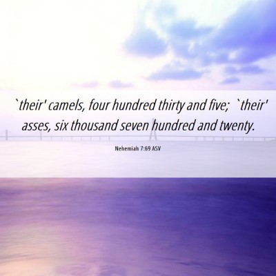 Picture 06 - Nehemiah 7:69 ASV - `their' camels, four hundred thirty and five; - Bible Verse Picture