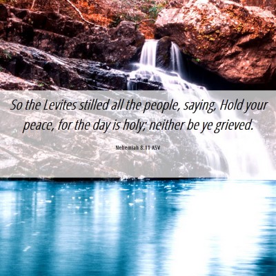 Picture 06 - Nehemiah 8:11 ASV - So the Levites stilled all the people, saying, - Bible Verse Picture