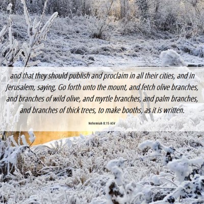 Picture 06 - Nehemiah 8:15 ASV - and that they should publish and proclaim in all - Bible Verse Picture