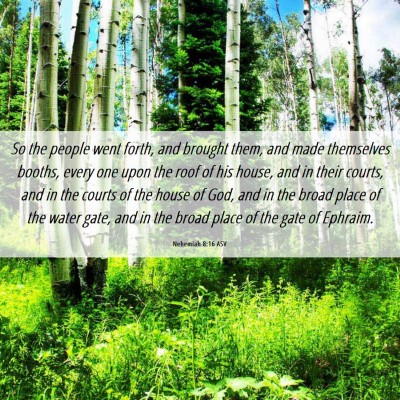 Picture 06 - Nehemiah 8:16 ASV - So the people went forth, and brought them, and - Bible Verse Picture