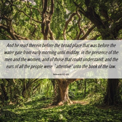 Picture 06 - Nehemiah 8:3 ASV - And he read therein before the broad place that - Bible Verse Picture