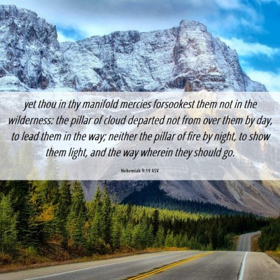 Picture 06 - Nehemiah 9:19 ASV - yet thou in thy manifold mercies forsookest them - Bible Verse Picture