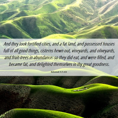 Picture 06 - Nehemiah 9:25 ASV - And they took fortified cities, and a fat land, - Bible Verse Picture