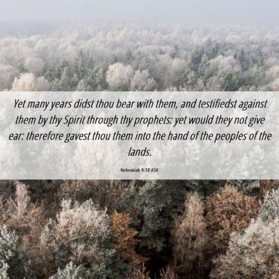 Picture 06 - Nehemiah 9:30 ASV - Yet many years didst thou bear with them, and - Bible Verse Picture