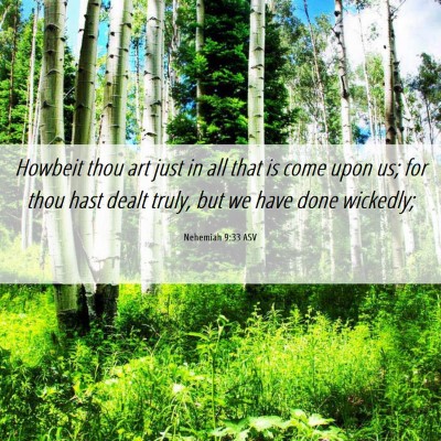 Picture 06 - Nehemiah 9:33 ASV - Howbeit thou art just in all that is come upon - Bible Verse Picture