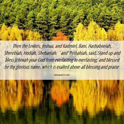 Picture 06 - Nehemiah 9:5 ASV - Then the Levites, Jeshua, and Kadmiel, Bani, - Bible Verse Picture