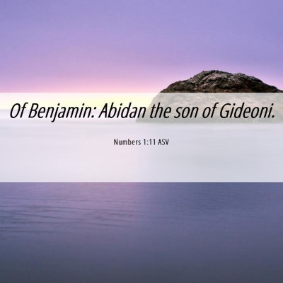 Picture 06 - Numbers 1:11 ASV - Of Benjamin: Abidan the son of - Bible Verse Picture