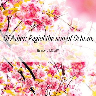 Picture 06 - Numbers 1:13 ASV - Of Asher: Pagiel the son of - Bible Verse Picture