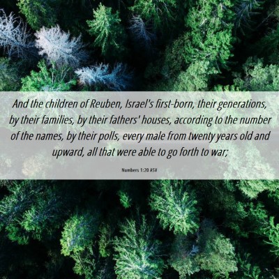 Picture 06 - Numbers 1:20 ASV - And the children of Reuben, Israel's first-born, - Bible Verse Picture