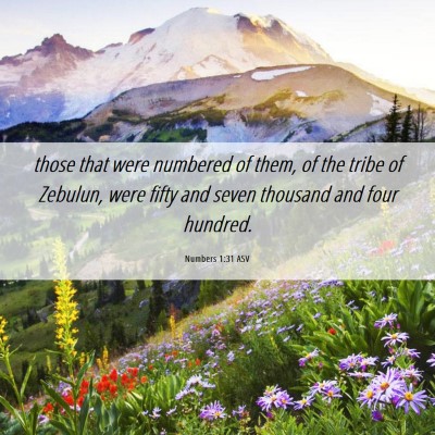Picture 06 - Numbers 1:31 ASV - those that were numbered of them, of the tribe of - Bible Verse Picture