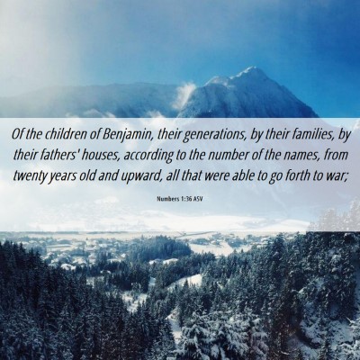 Picture 06 - Numbers 1:36 ASV - Of the children of Benjamin, their generations, - Bible Verse Picture