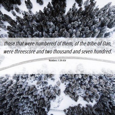 Picture 06 - Numbers 1:39 ASV - those that were numbered of them, of the tribe of - Bible Verse Picture