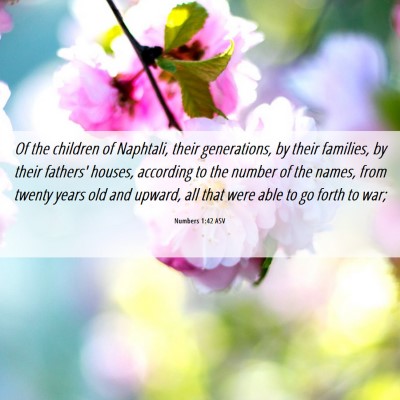 Picture 06 - Numbers 1:42 ASV - Of the children of Naphtali, their generations, - Bible Verse Picture