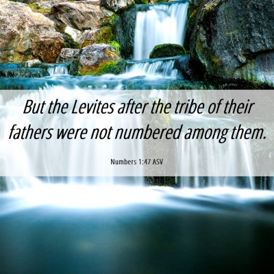 Picture 06 - Numbers 1:47 ASV - But the Levites after the tribe of their fathers - Bible Verse Picture